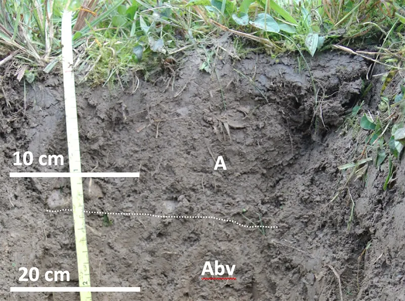 Gutachten von Dr. Markus Puschenreiter