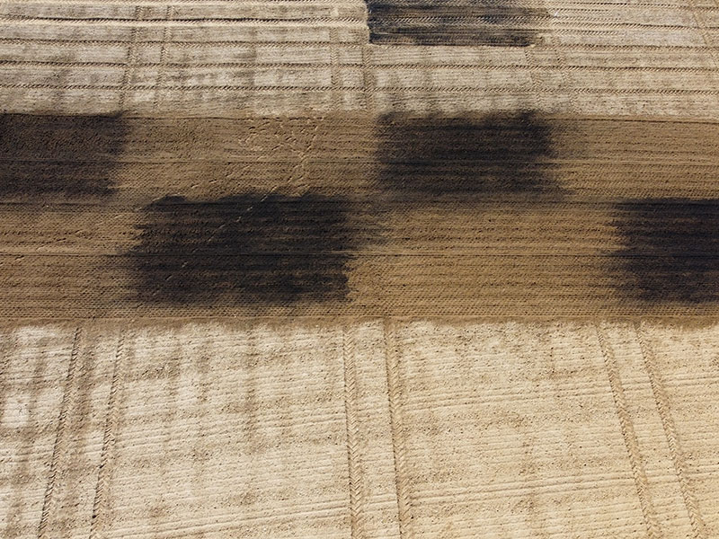 Dr. Markus Puschenreiter